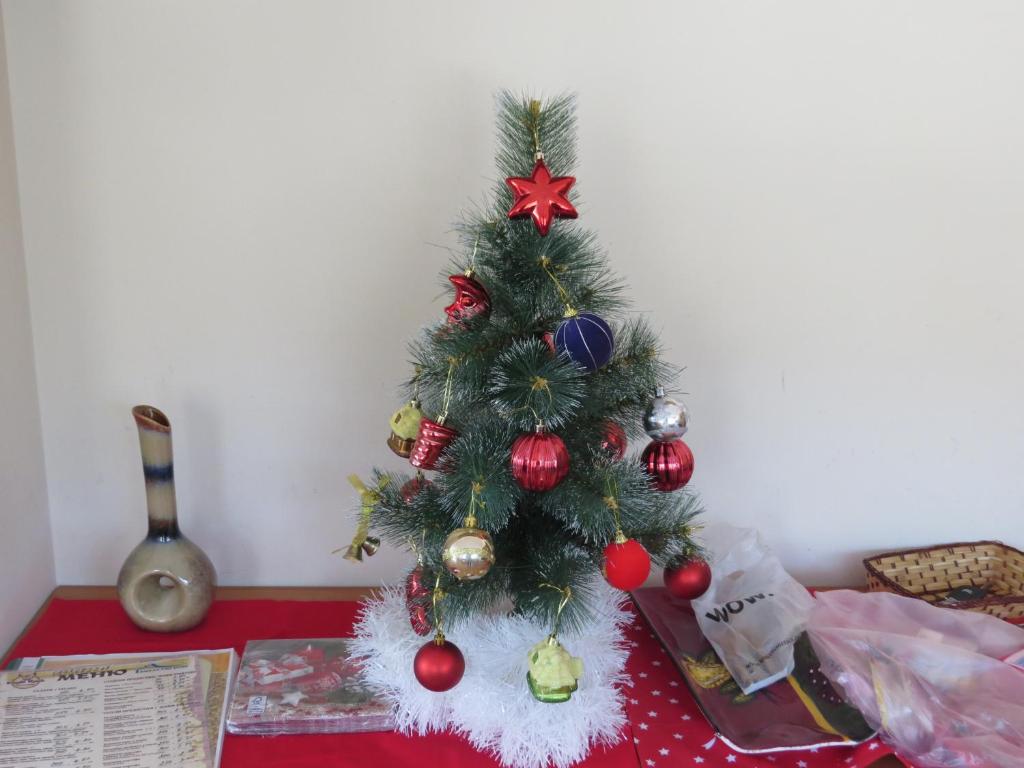 Panoramic 301 - Festive holiday decorations and guest information for a cozy winter stay