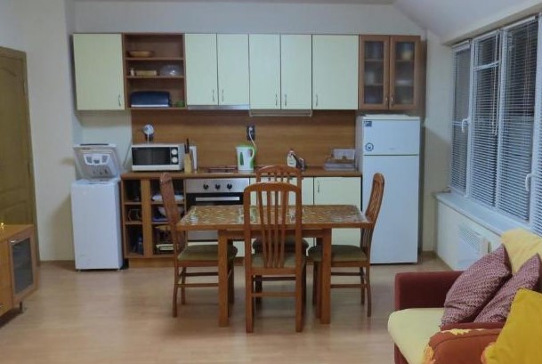 Panoramic 301 - Dining area and kitchen with washing machine, oven and large table