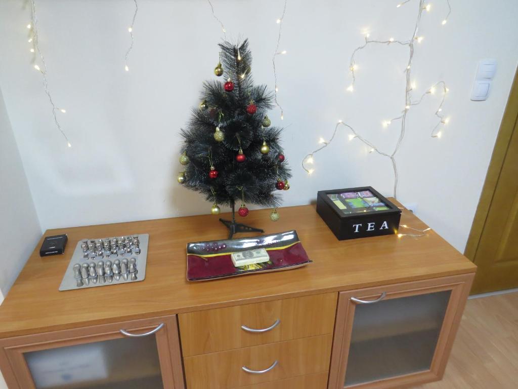 Panoramic 301 - Cozy guest information corner with complimentary tea station and holiday decor